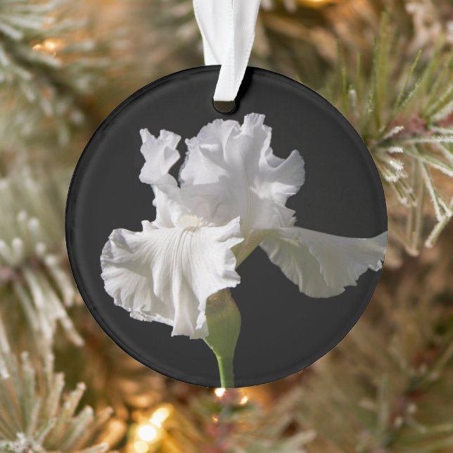 Flowers | White Iris Ornament (Baum)