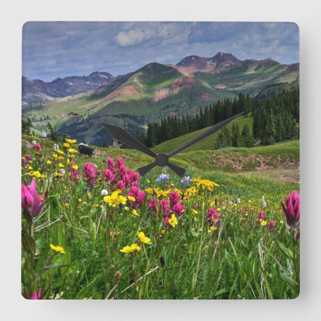 Flowers | Wildflowers Durango, Colorado Quadratische Wanduhr (Vorderseite)