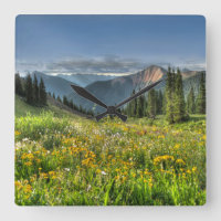 Flowers | Wildflowers Silverton Colorado