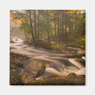 Flowstream Appalachian Trail Vermont Magnet