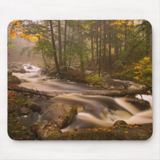 Flowstream Appalachian Trail | Vermont Mousepad (Vorne)