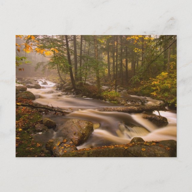 Flowstream Appalachian Trail | Vermont Postkarte (Vorderseite)
