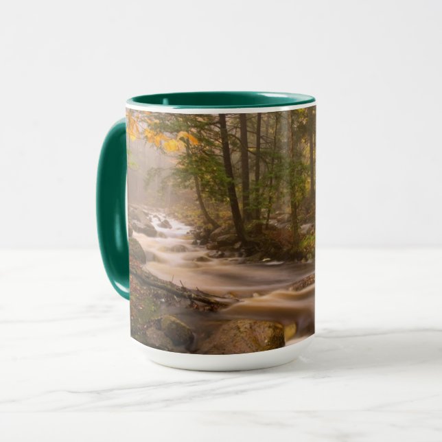 Flowstream Appalachian Trail | Vermont Tasse (Vorderseite Links)