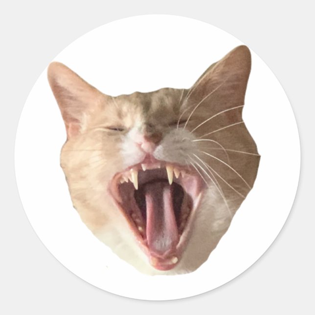 Floyd Aufkleber - Mit Mund offen! (Vorderseite)