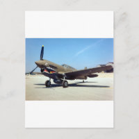 Fluch P-40