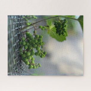 Flucht aus dem Zaun Puzzle