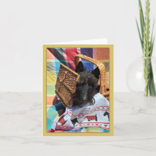 flüchtige Blick-a-Boo