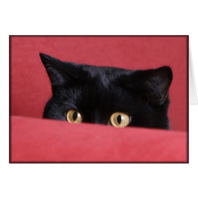 Flüchtige Blick-a-Boo (Vorderseite (Horizontal))