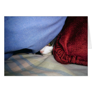 Flüchtige Blick a Boo