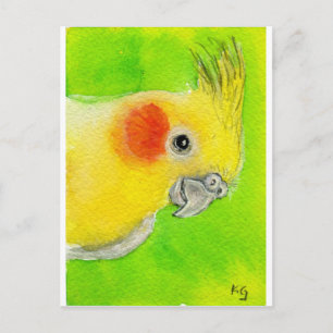 Flüchtige Blick-a-boo Cockatiel Postkarte
