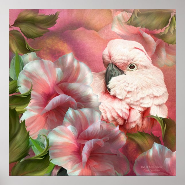 Flüchtige Blick A Boo Cockatoo Fine Art Poster/Pri Poster (Vorne)