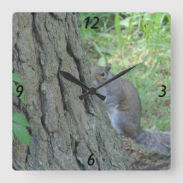 Flüchtige Blick A Boo Eichhörnchen - Quadratische Wanduhr