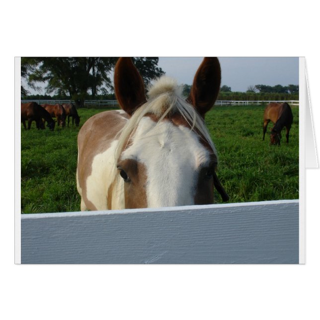 Flüchtige Blick a Boo Horse (Vorderseite (Horizontal))