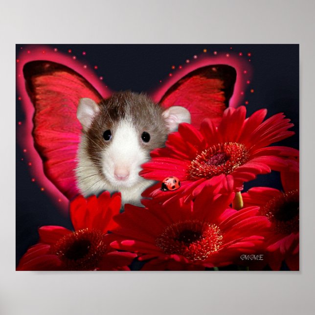 Flüchtige Blick-a-boo, ich sehe dich ! Poster (Vorne)