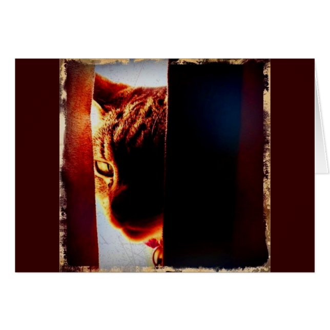 Flüchtige Blick-a-boo Indigo (Vorderseite (Horizontal))