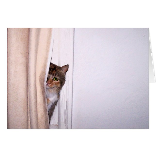 Flüchtige Blick-a-Boo-Katze (Vorderseite (Horizontal))