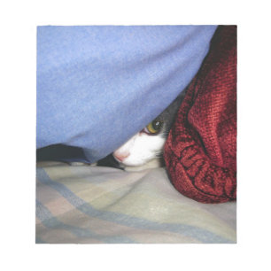 Flüchtige Blick a Boo Notizblock