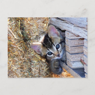 Flüchtige Blick-a-Boo Postkarte