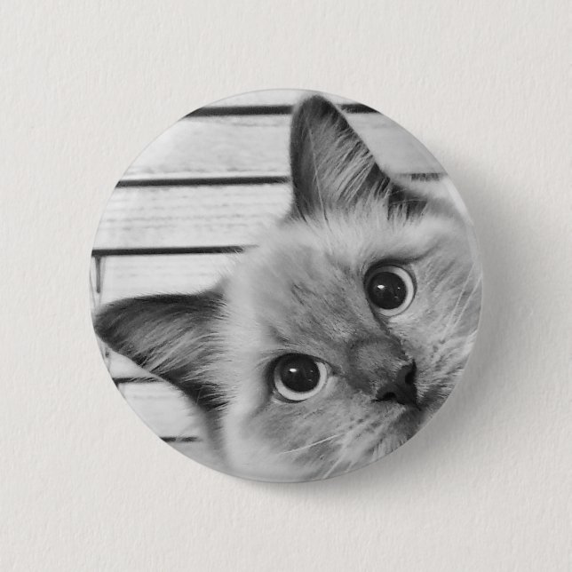 Flüchtige Blick-a-boo Ragdoll Button (Vorderseite)