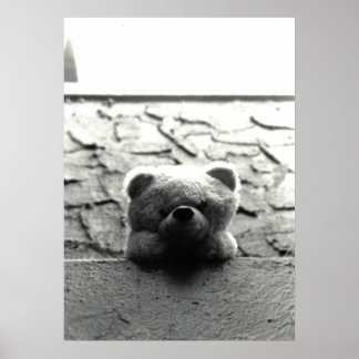 Flüchtige Blick-a-Boo Teddy Poster