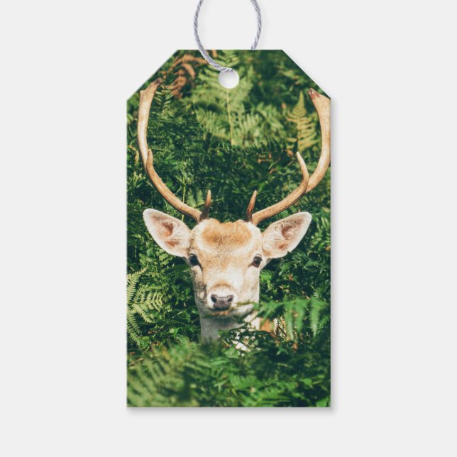Flüchtige Blick a Deh Geschenkanhänger (Vorderseite)