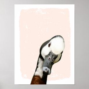 Flüchtige Blick an der Kinderzimmer-Dusche Poster