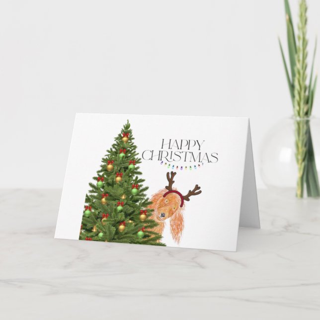 Flüchtige Blick einer Booghundin Weihnachtskarte Karte (Vorderseite)