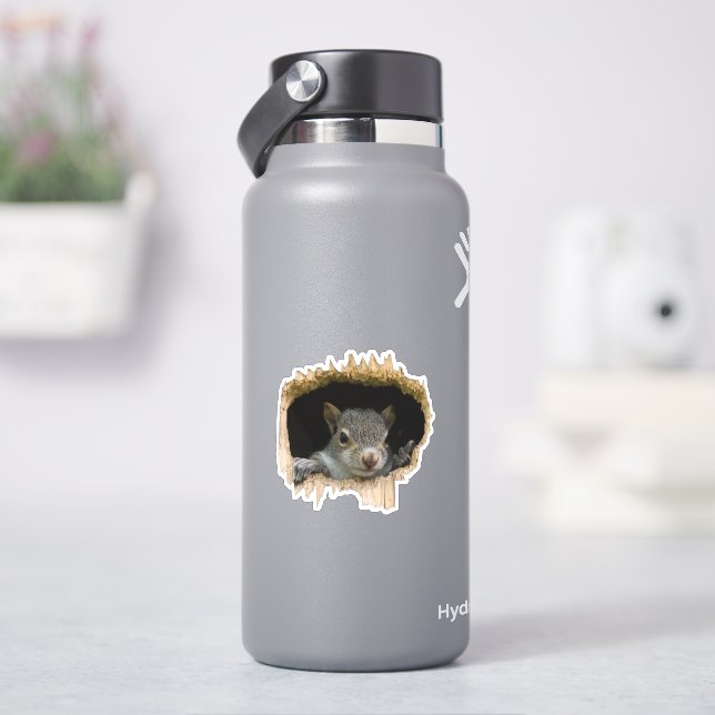Flüchtige Blick. - Grauhörnchen Aufkleber (HydroFlask)