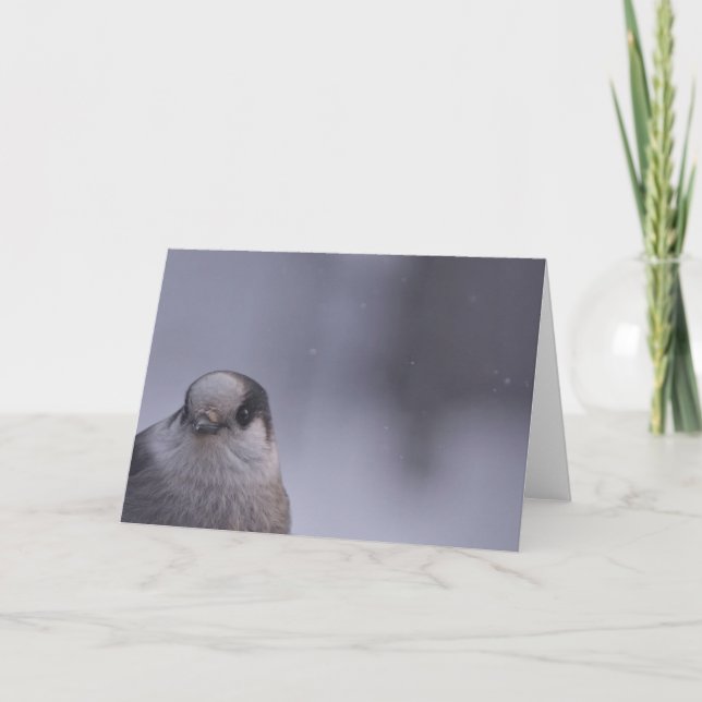 flüchtige Blick Karte (Vorderseite)