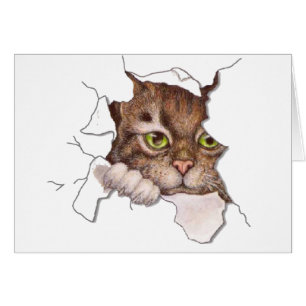 Flüchtiger Blick ein BooKitty 2