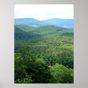 Flüchtiger Blick in dem Greenbrier Fluss Poster