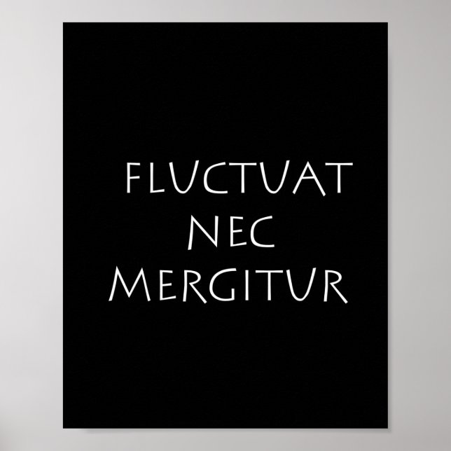 Fluctuat nec mergitur poster (Vorne)