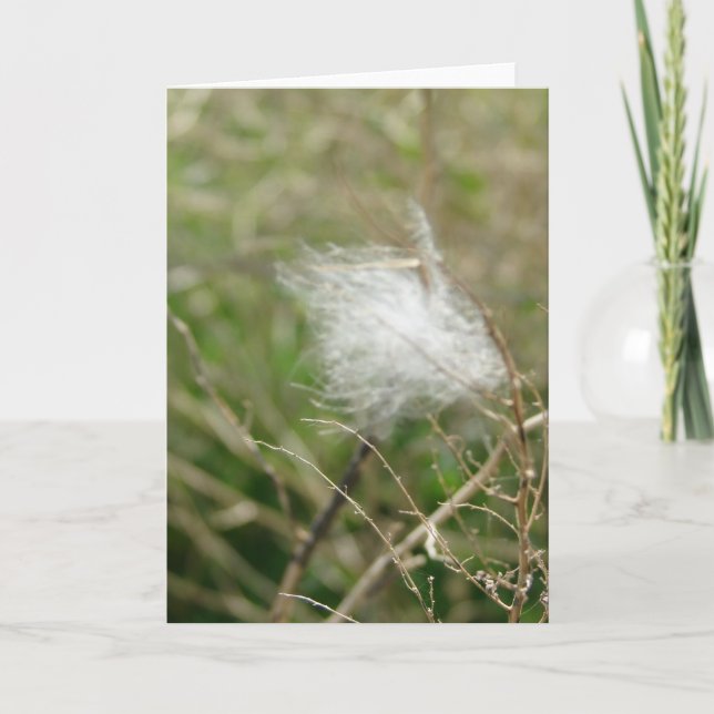 Fluff all Gelegenheiten Karte (Vorderseite)