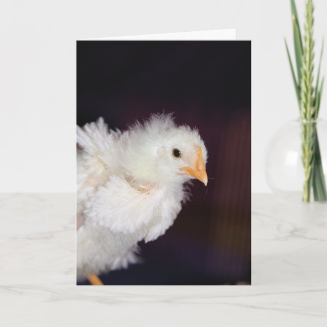 Fluff Card Karte (Vorderseite)