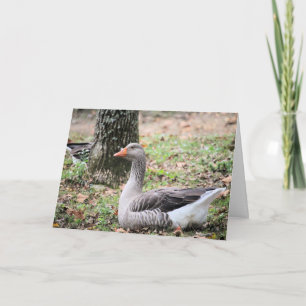 Fluff Feiertagskarte