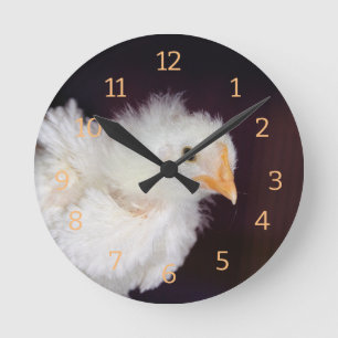Fluff Runde Wanduhr