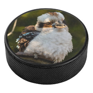Fluffed up lacht kookaburra eishockey puck
