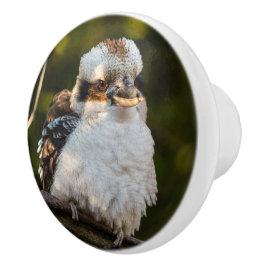 Fluffed up lacht kookaburra keramikknauf