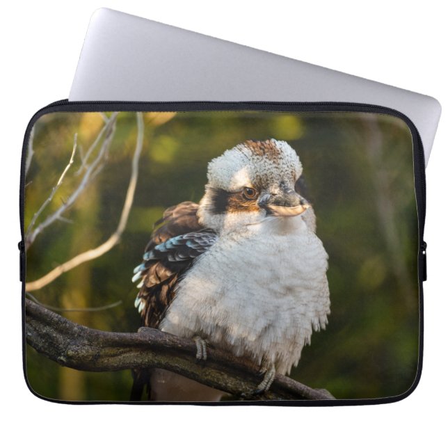 Fluffed up lacht kookaburra laptopschutzhülle (Vorderseite)