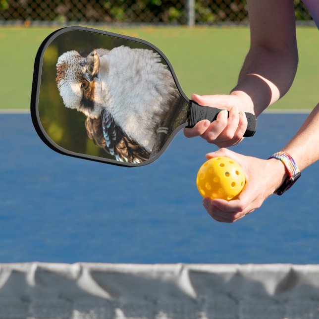 Fluffed up lacht kookaburra pickleball schläger (InSitu)