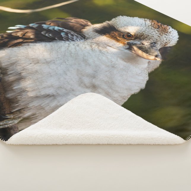Fluffed up lacht kookaburra sherpadecke (3/4)