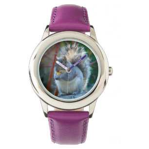 Fluffes Chubby Eichhörnchen Beobachtung Armbanduhr