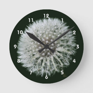 Fluffige weiße Löwenzahnblüte Runde Wanduhr