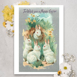Fluffige weiße Vintage-Osterhasen Feiertagskarte