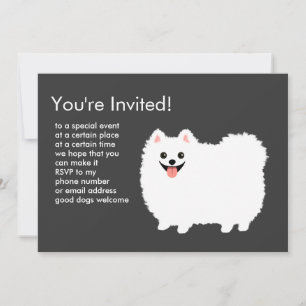 Fluffiger Weißer Pomeranian Einladung