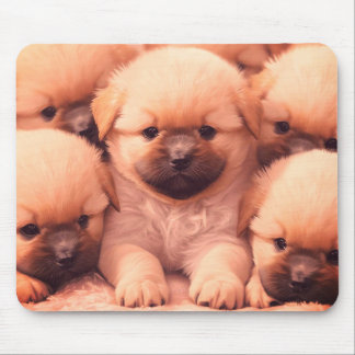 Fluffiger Wurf von Welpen auf Laptop-Desktop-Table Mousepad