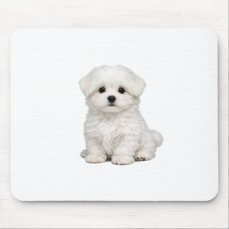 Fluffiges weißes Malteser-Welpenportrait Süßer Hun Mousepad