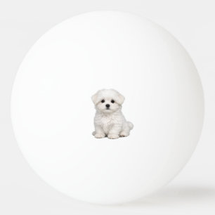 Fluffiges weißes Malteser-Welpenportrait Süßer Hun Tischtennisball
