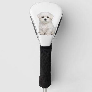 Fluffiges weißes Malteser-Welpenporträt Süßer Hund Golf Headcover