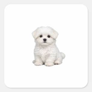 Fluffiges weißes Malteser-Welpenporträt Süßer Hund Quadratischer Aufkleber